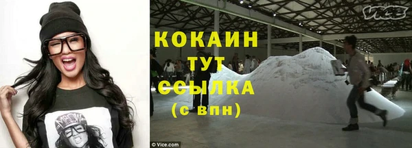 сатива Куйбышев