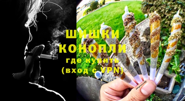 сатива Куйбышев