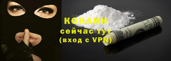 стаф Кукмор