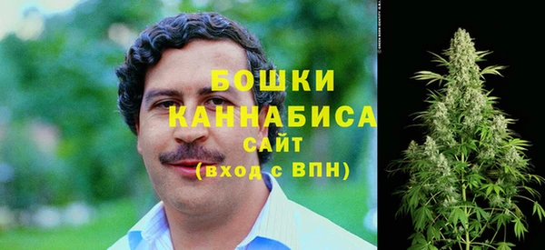 стаф Кукмор