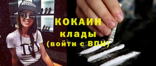 сатива Куйбышев