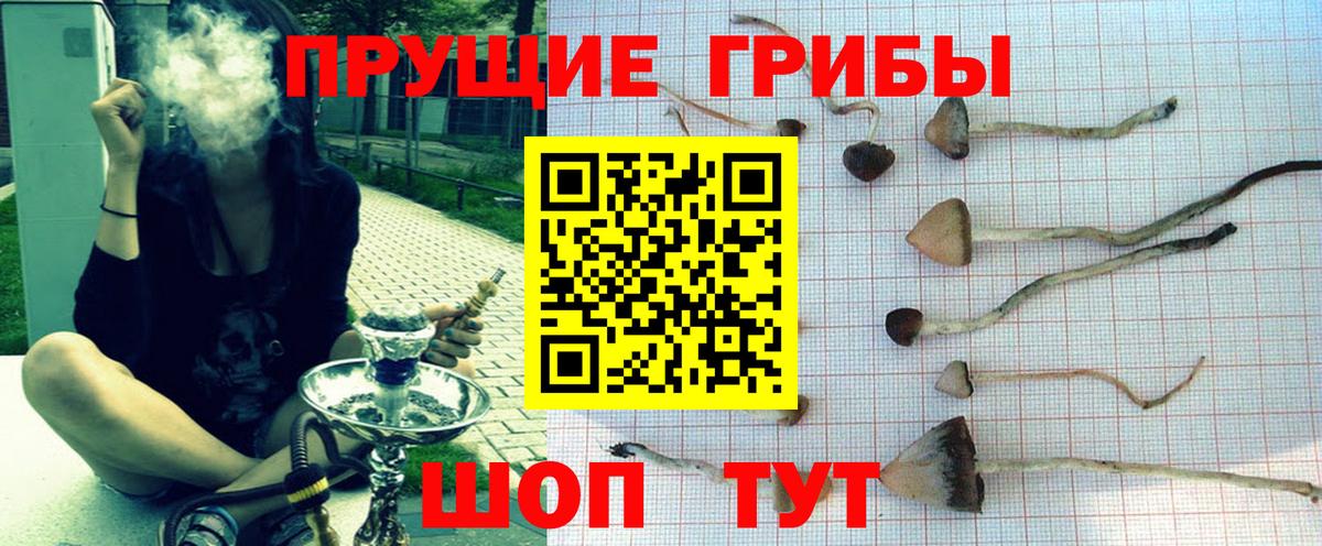 Галлюциногенные грибы Magic Shrooms  дарнет шоп  Нурлат  Вход с VPN  Галлюциногенные грибы прущие грибы 