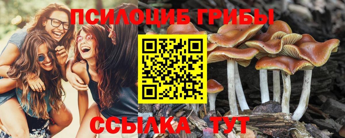 Галлюциногенные грибы мухоморы  Галлюциногенные грибы мицелий  Нурлат 